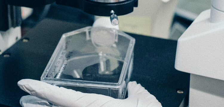 ヘルスケア・ライフサイエンス 04. HEALTHCARE / LIFE SCIENCE