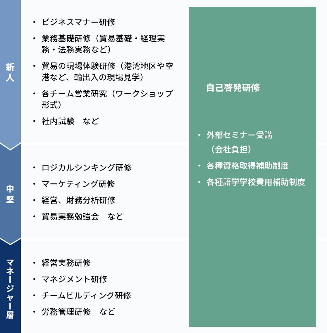 新人・ビジネスマナー研修・業務基礎研修（貿易基礎・経理実務・法務実務など）・貿易の現場体験研修（港湾地区や空港など、輸出入の現場見学）・各チーム営業研究（ワークショップ形式）・社内試験　など 中堅・ロジカルシンキング研修 ・マーケティング研修・経営、財務分析研修・貿易実務勉強会　などマネージャー層・経営実務研修・マネジメント研修・チームビルディング研修 ・労務管理研修　など 自己啓発研修 ・外部セミナー受講（会社負担）・各種資格取得補助制度・各種語学学校費用補助制度